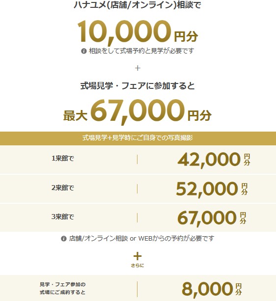 hanayume_campaign_step