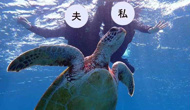 シュノーケリングしている様子